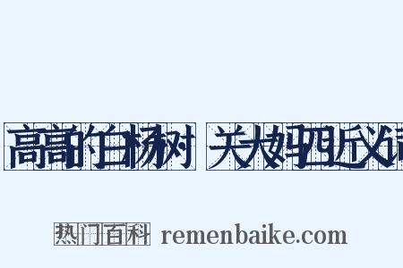 高高的白杨树·关大妈四近义词是什么意思的图片